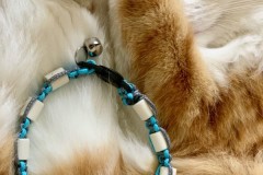 Anti-tiques-chats-1