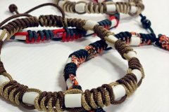 Anti-tiques-snake-010