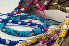 Anti-tiques-snake-043