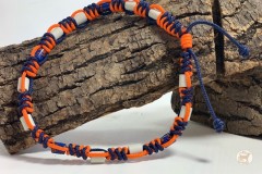 Anti-tiques-snake-060