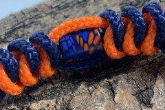 Anti-tiques-snake-061