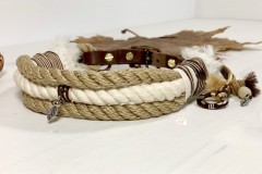 Cheyenne-2