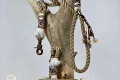 Cheyenne-51
