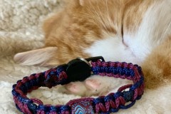 Colliers-chats-1