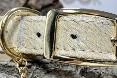 Dandy-White-10