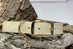 Dandy-White-11