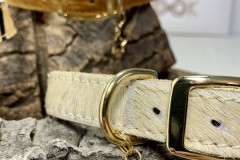 Dandy-White-8