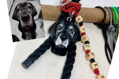 My-Doggie-5