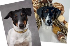 Porte-clés-My-Doggie-20