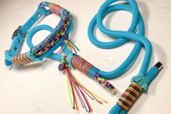 Rainbow-11