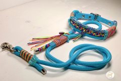 Rainbow-7