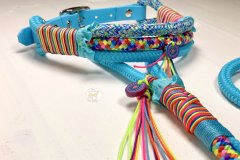 Rainbow-9